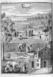 Oogst, 1775 door Unbekannt