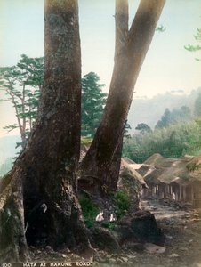 Hata bij Hakone Weg, Japan, begin 20e eeuw door Unbekannt