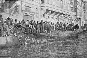 Binnenhalen van een Grippo van 15000 vissen bij Emirgian aan de Bosporus, c1901, 1903