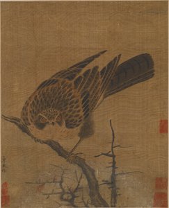 Havik op een Bladloze Tak, Mogelijk Yuan-dynastie, 1279-1368 door Unbekannt