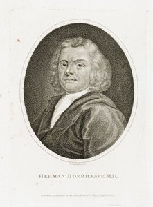 Herman Boerhaave, Nederlandse arts, chemicus en botanicus, begin 18e eeuw door Unbekannt