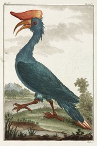 Neushoornvogel door Unbekannt