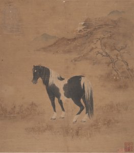 Paard en landschap