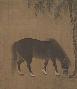 Paard en wilgenboom