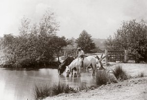 Paarden drinken bij vijver, circa 1890