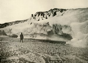 IJsbloemen op pas gevormd zee-ijs vroeg in de winter, ca. 1908, 1909 door Unbekannt