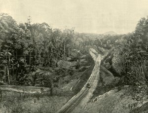 In de Blackall Ranges, 1901 door Unbekannt