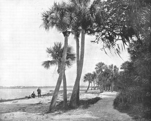 Indian River, Florida, VS, c1900