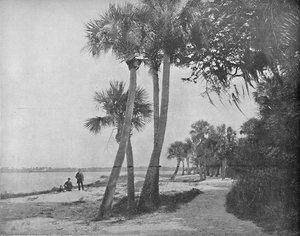 Indian River, Florida, ca. 1897