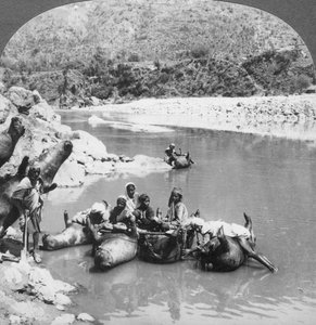 Opgeblazen stierenhuiden gebruikt als veerboten op de Sutlej-rivier, Punjab, India, c1900s door Unbekannt