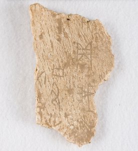 Ingeschreven botfragment orakelbot