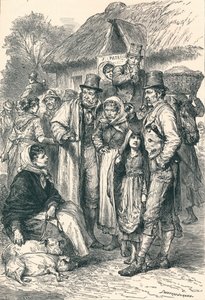 Ierse boeren, 1896