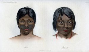 Juri en Botocudos, van de Brasilio-Guarani natie, 1848 door Unbekannt