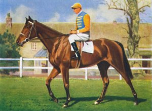 Kellsboro Jack, Jockey: D. Morgan door Unbekannt