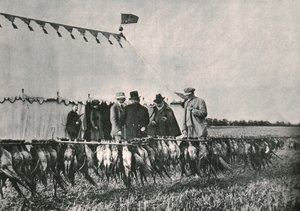 Koning Edward VII inspecteert de vangst op Sherborne Estate, 1902, 1910