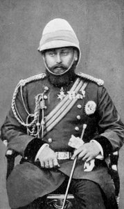 Koning Edward VII van het Verenigd Koninkrijk in militair uniform door Unbekannt