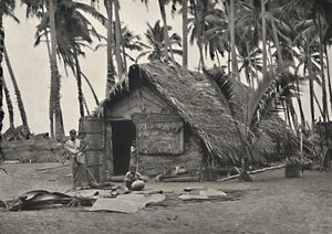 Kokospalmen en Inheemse Hut van Kokosbladeren door Unbekannt