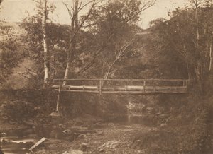 Landschap met bomen en brug