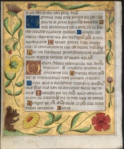 Blad uit een Psalter en Gebedenboek: Sierlijke Rand met Bloemen en Eekhoorn verso, ca. 1524 door Unbekannt