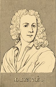 Linne, 1707-1778, 1830