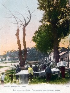 Lordelo do Ouro, nabij Porto, Portugal, 1903