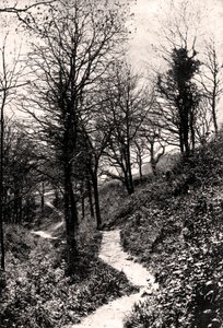 Lovers Lane, Fairlight, Hastings, Sussex