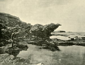 Laag tij, Shelly Beach, Warrnambool door Unbekannt