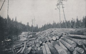 Houthakken, 1924
