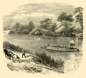 Magna Charta Eiland, 1890