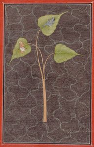 Markandeya bekijkt Krishna in de kosmische oceaan, ca. 1680