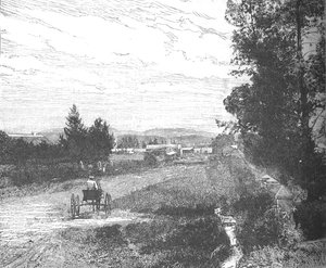 Market Street, Pretoria, ca. 1880s