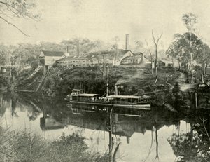 Vleesfabriek, nabij Grafton, New South Wales, 1901 door Unbekannt