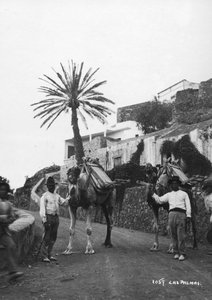 Mannen met kamelen, Las Palmas, Gran Canaria, Canarische Eilanden, Spanje, ca. 1920s-30s