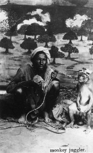 Apenjongleur, India, 20e eeuw