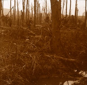 Mount Kemmel, Vlaanderen, België, c1914-c1918
