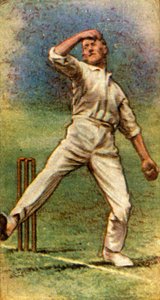 Mr. J. C. White Somerset, 1928