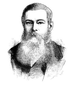 De heer J. H. Brand, president van de Oranje Vrijstaat, c1880 door Unbekannt