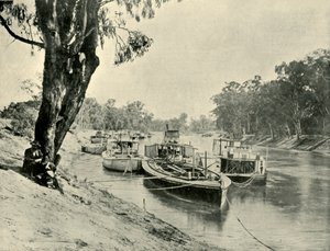 Murray Schuiten en Stoomschepen bij Echuca, 1901