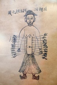 Museum van Traditionele Vietnamese Geneeskunde, De kanalen en vaten, Boek van acupunctuur, Ho Chi Minhstad, Vietnam