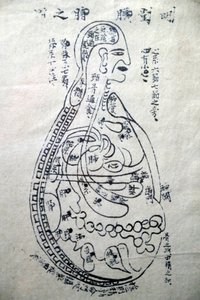 Museum van Traditionele Vietnamese Geneeskunde, De kanalen en vaten, Boek van acupunctuur, Ho Chi Minhstad, Vietnam