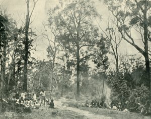 Inheemse sporten, Lake Tyers, 1901