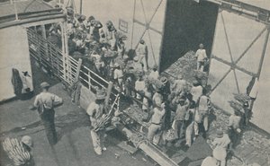 Inboorlingen laden bananen in Kingston, Jamaica, zingen Schotse psalmen, 1937