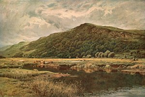 Natuurs Spiegel, 1882, ca. 1902 door Unbekannt