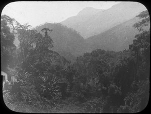Bij Petrópolis, Rio de Janeiro, Brazilië, eind 19e of begin 20e eeuw