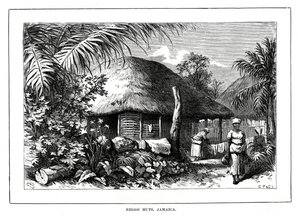 Negerhutten, Jamaica, 19e eeuw door Unbekannt