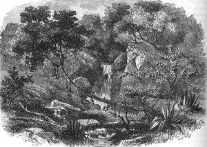 Nieuw-Zeelands landschap, ca. 1880 door Unbekannt