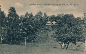 Nuwara Eliya Golf Links, afslaan op de 7e tee, Ceylon, ca. 1900