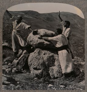Offerlam op het altaar, Moreh, ca. 1900 door Unbekannt