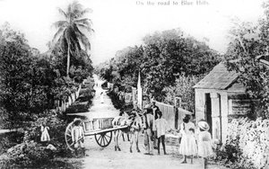 Op weg naar Blue Hills, Bahama