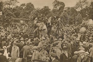 Een van de tekenen van onze beschaving: goed gevulde dierentuinen om de nieuwsgierigen te verrassen, ca. 193